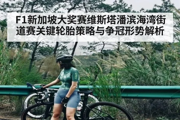 F1新加坡大奖赛维斯塔潘滨海湾街道赛关键轮胎策略与争冠形势解析